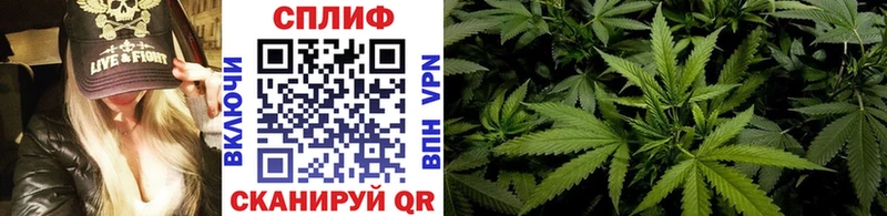 Купить закладку Бошки Шишки  Меф  A-PVP  Гашиш  Советский