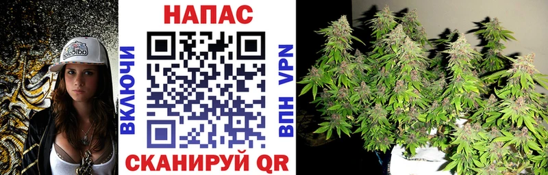 Купить закладки  Советский  Марихуана гибрид 